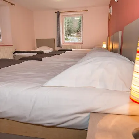 Hotel Domaine Du Des Bluches *